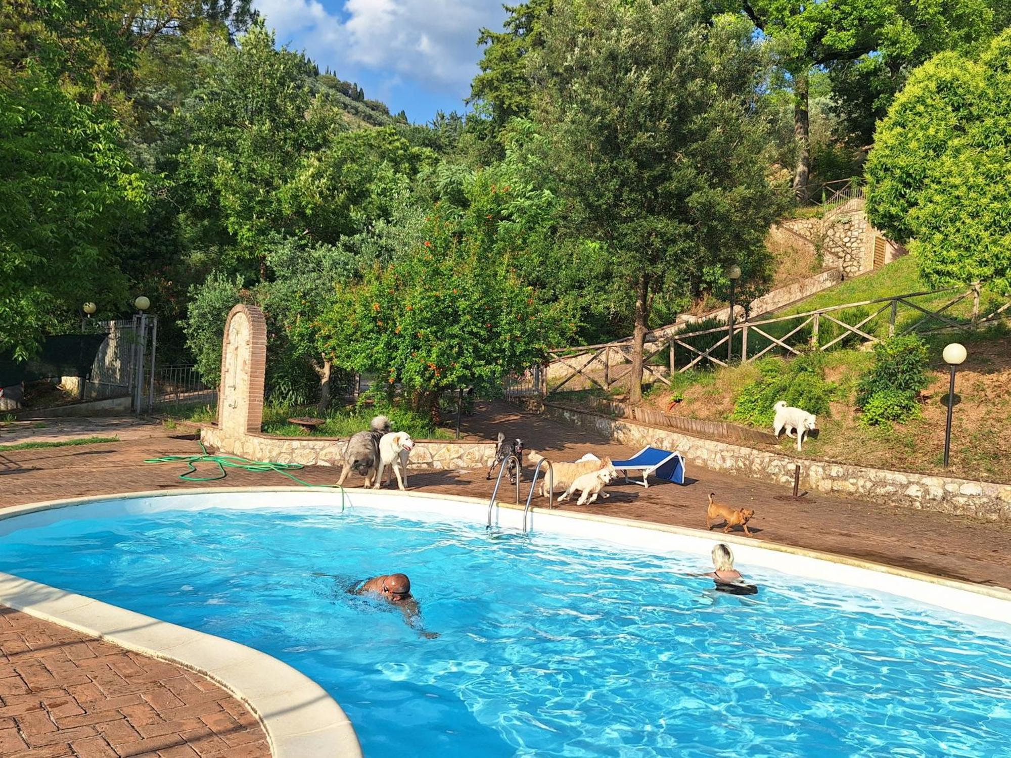 Setterhouseagrihotel Треви Экстерьер фото